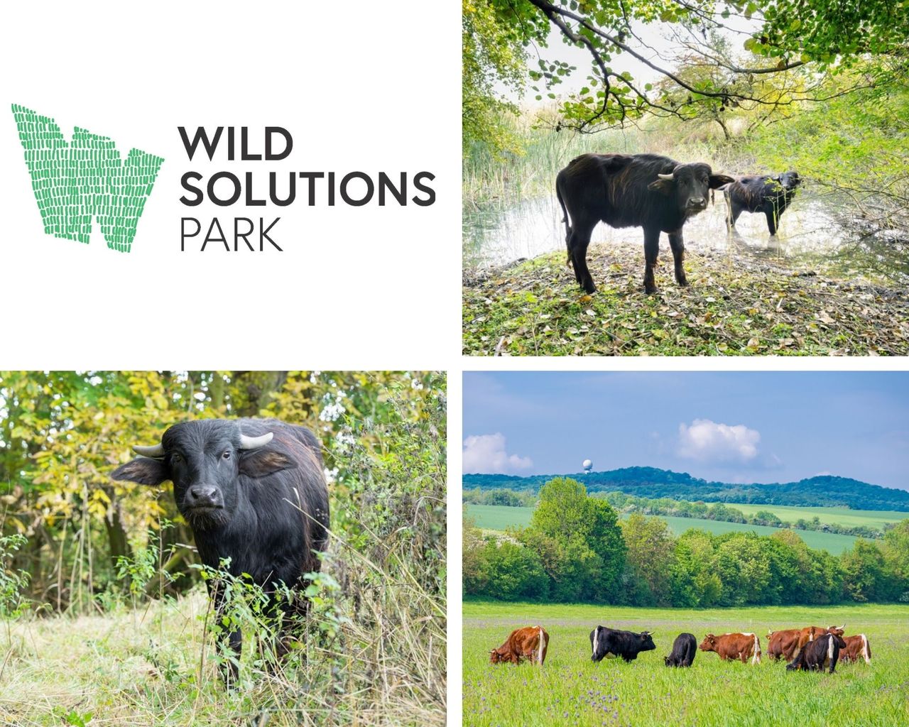 Design ohne Titel (12)