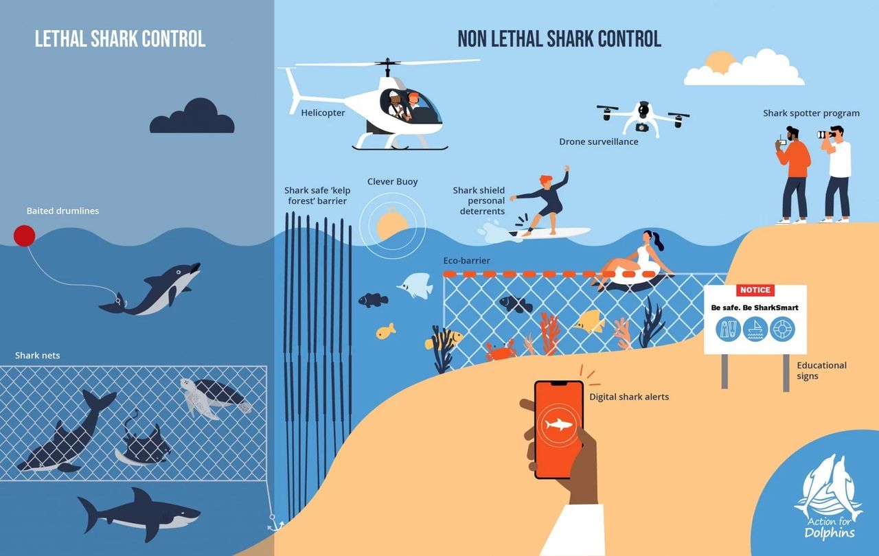 Lethal Shark Control V Non Lethal