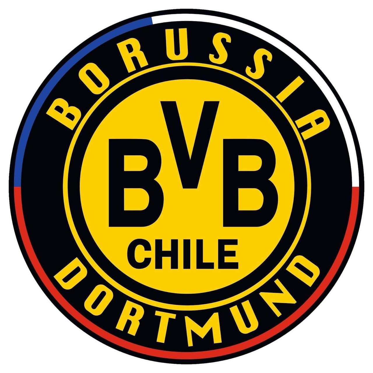 Borussia Dortmund Oficial Chile