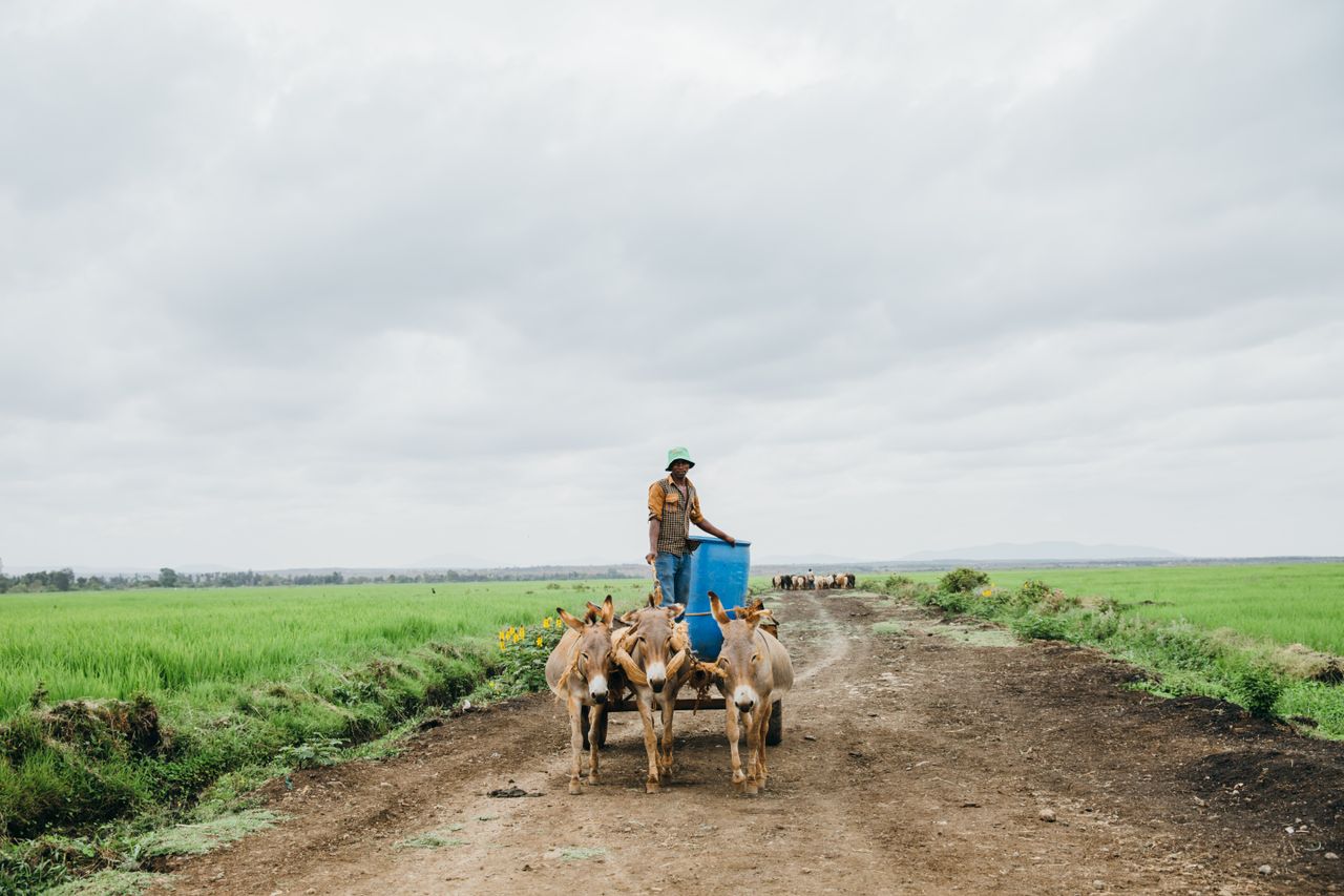 Water transportation in Kenya