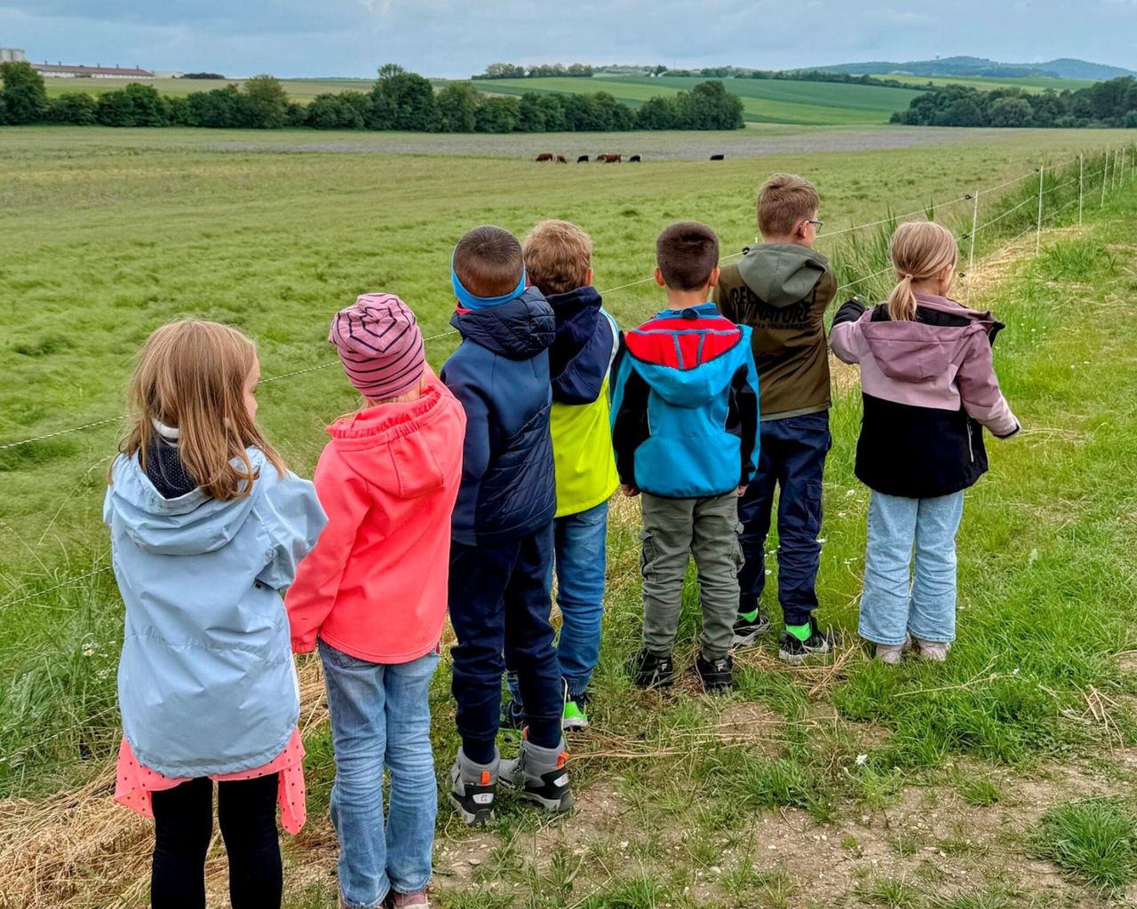 Design ohne Titel (13)