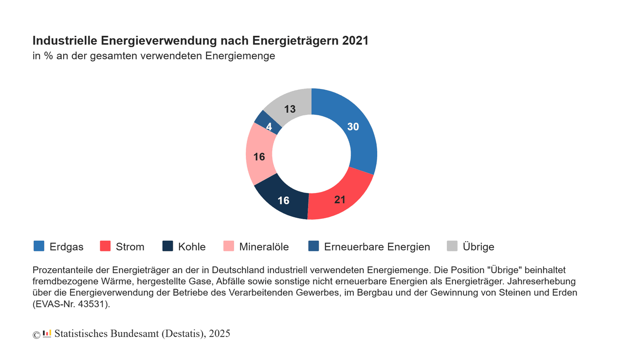 energieverwendung-energietraeger
