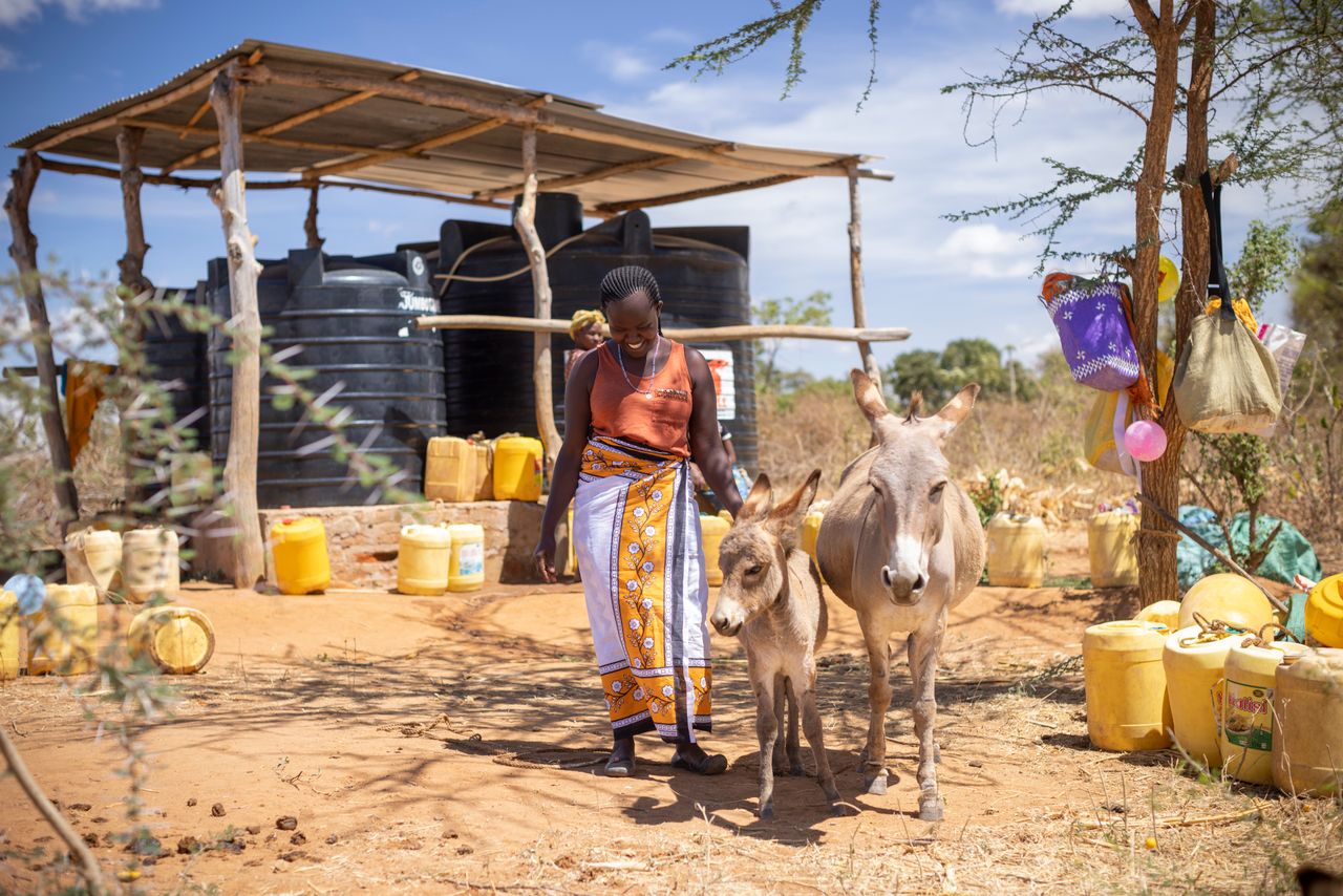 Woman and donkeys in Kenya